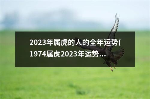 2023年属虎的人的全年运势(1974属虎2023年运势如何)