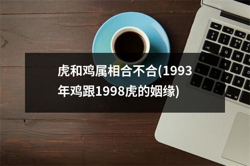 虎和鸡属相合不合(1993年鸡跟1998虎的姻缘)