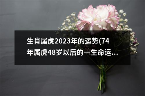 生肖属虎2023年的运势(74年属虎48岁以后的一生命运)