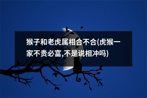 猴子和老虎属相合不合(虎猴一家不贵必富,不是说相冲吗)