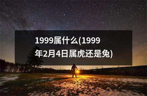 1999属什么(1999年2月4日属虎还是兔)