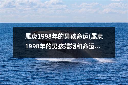 属虎1998年的男孩命运(属虎1998年的男孩婚姻和命运)