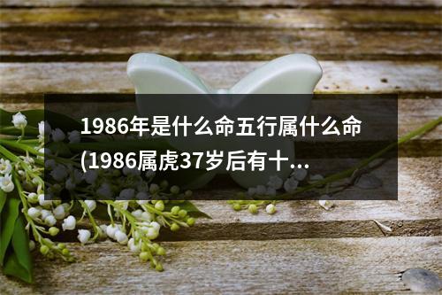 1986年是什么命五行属什么命(1986属虎37岁后有十年大运)