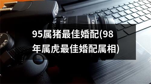 95属猪佳婚配(98年属虎佳婚配属相)