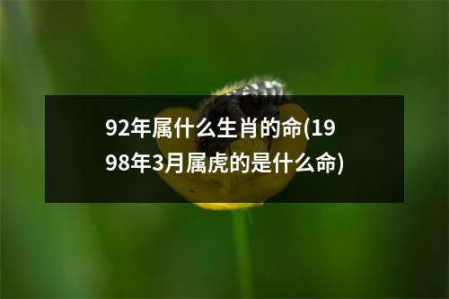 92年属什么生肖的命(1998年3月属虎的是什么命)