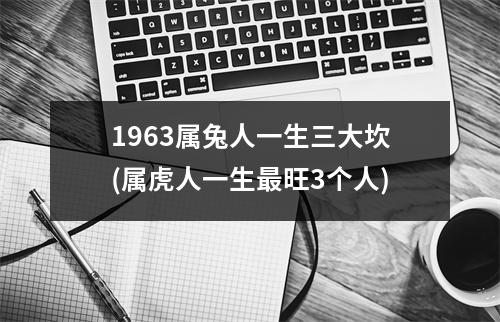 1963属兔人一生三大坎(属虎人一生旺3个人)