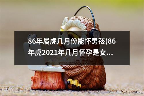 86年属虎几月份能怀男孩(86年虎2021年几月怀孕是女孩)