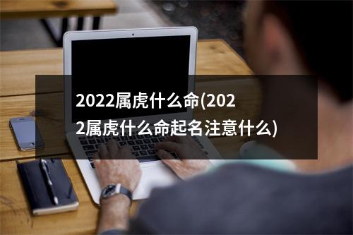 2022属虎什么命(2022属虎什么命起名注意什么)