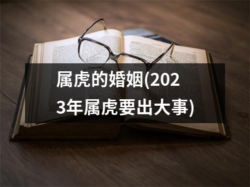 属虎的婚姻(2023年属虎要出大事)