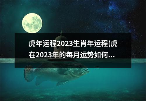 虎年运程2023生肖年运程(虎在2023年的每月运势如何)