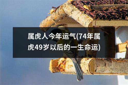 属虎人今年运气(74年属虎49岁以后的一生命运)