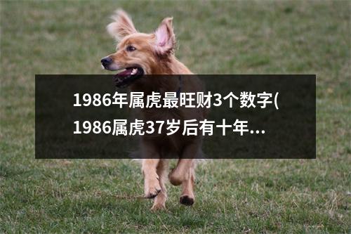 1986年属虎旺财3个数字(1986属虎37岁后有十年大运)