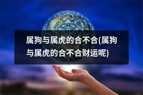 属狗与属虎的合不合(属狗与属虎的合不合财运呢)