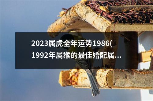 2023属虎全年运势1986(1992年属猴的佳婚配属相)