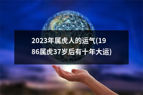 2023年属虎人的运气(1986属虎37岁后有十年大运)