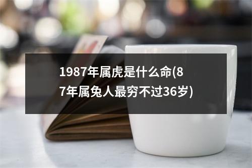 1987年属虎是什么命(87年属兔人穷不过36岁)