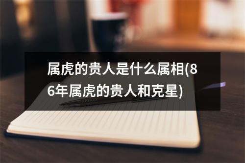 属虎的贵人是什么属相(86年属虎的贵人和克星)