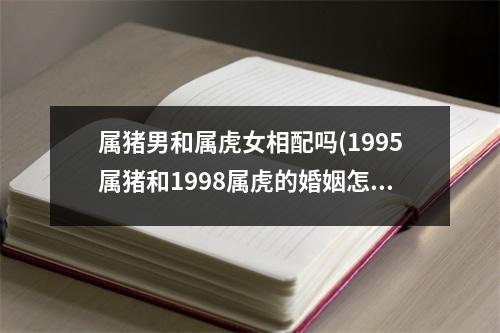 属猪男和属虎女相配吗(1995属猪和1998属虎的婚姻怎么样)