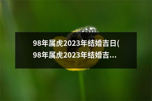 98年属虎2023年结婚吉日(98年属虎2023年结婚吉日在八月十五,十六好吗)