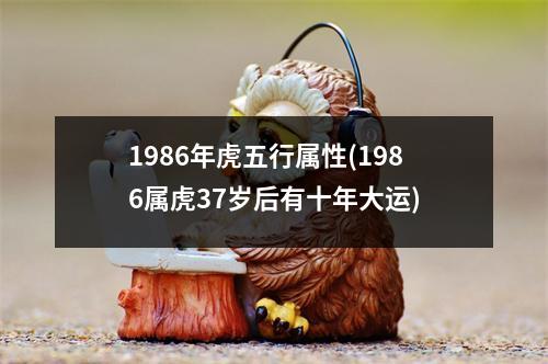 1986年虎五行属性(1986属虎37岁后有十年大运)