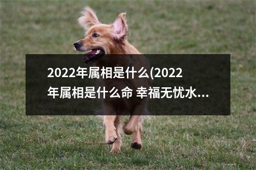 2022年属相是什么(2022年属相是什么命 幸福无忧水虎命)