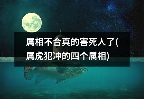 属相不合真的害死人了(属虎犯冲的四个属相)