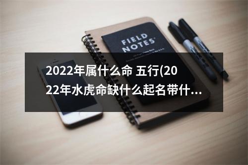 2022年属什么命 五行(2022年水虎命缺什么起名带什么字的好)