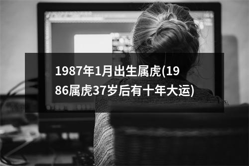 1987年1月出生属虎(1986属虎37岁后有十年大运)