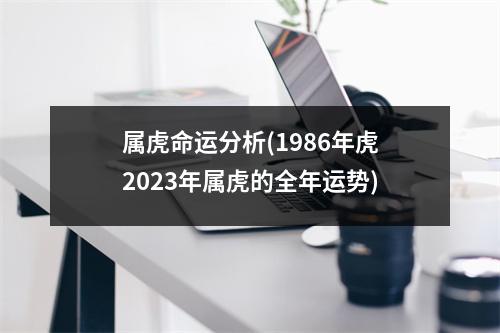 属虎命运分析(1986年虎2023年属虎的全年运势)