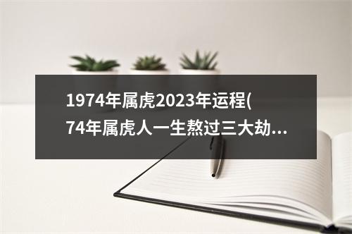 1974年属虎2023年运程(74年属虎人一生熬过三大劫难)