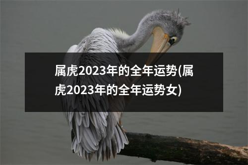 属虎2023年的全年运势(属虎2023年的全年运势女)