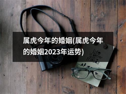 属虎今年的婚姻(属虎今年的婚姻2023年运势)