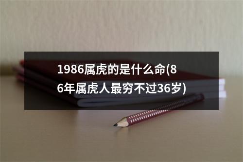 1986属虎的是什么命(86年属虎人穷不过36岁)