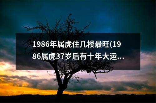 1986年属虎住几楼旺(1986属虎37岁后有十年大运)