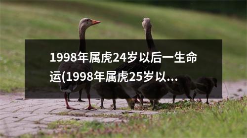 1998年属虎24岁以后一生命运(1998年属虎25岁以后一生命运)