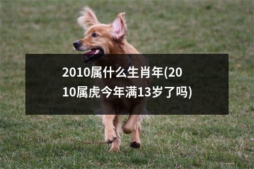 2010属什么生肖年(2010属虎今年满13岁了吗)