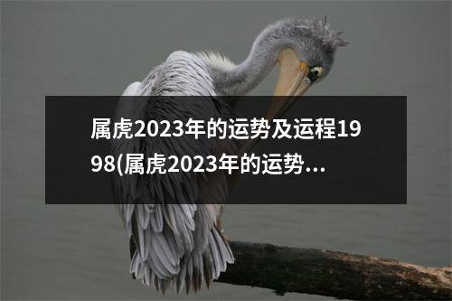 属虎2023年的运势及运程1998(属虎2023年的运势及运程1998年男12月的云试)