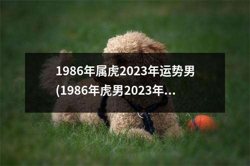 1986年属虎2023年运势男(1986年虎男2023年运势及运程)