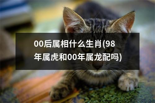 00后属相什么生肖(98年属虎和00年属龙配吗)