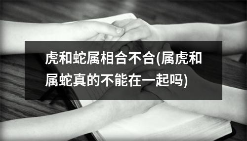 虎和蛇属相合不合(属虎和属蛇真的不能在一起吗)