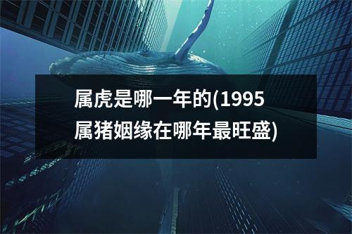 属虎是哪一年的(1995属猪姻缘在哪年旺盛)