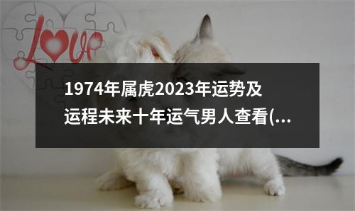 1974年属虎2023年运势及运程未来十年运气男人查看(1974年的虎2023年的运程是怎么样的吉祥物)