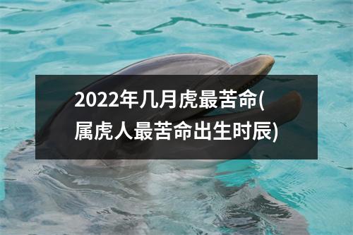 2022年几月虎苦命(属虎人苦命出生时辰)