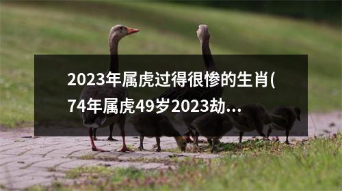 2023年属虎过得很惨的生肖(74年属虎49岁2023劫难)