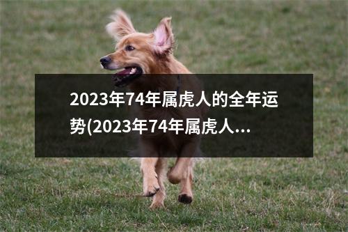 2023年74年属虎人的全年运势(2023年74年属虎人的全年运势1986出生)