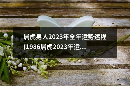 属虎男人2023年全年运势运程(1986属虎2023年运势及运程男性)