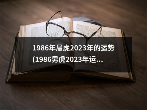 1986年属虎2023年的运势(1986男虎2023年运势及运程)