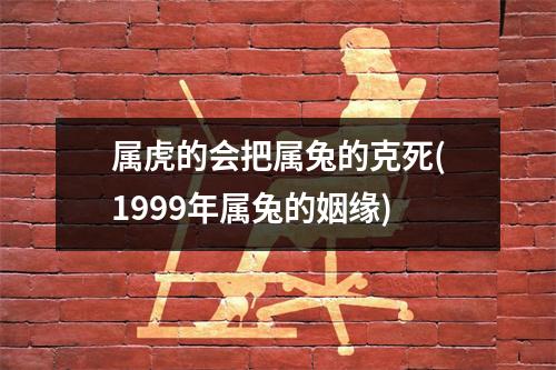 属虎的会把属兔的克死(1999年属兔的姻缘)