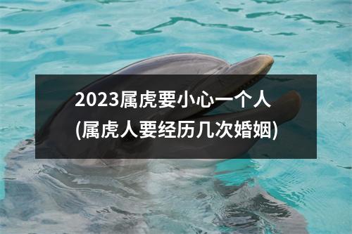 2023属虎要小心一个人(属虎人要经历几次婚姻)