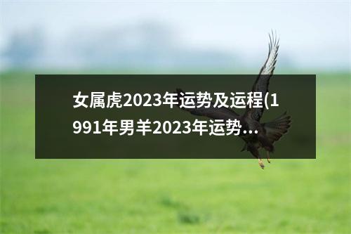 女属虎2023年运势及运程(1991年男羊2023年运势及运程)